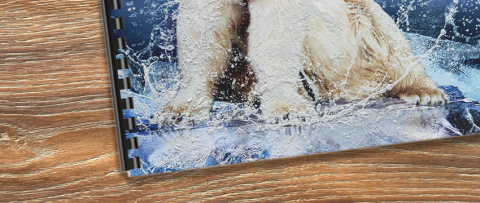 Tactile and Haptic Coatings